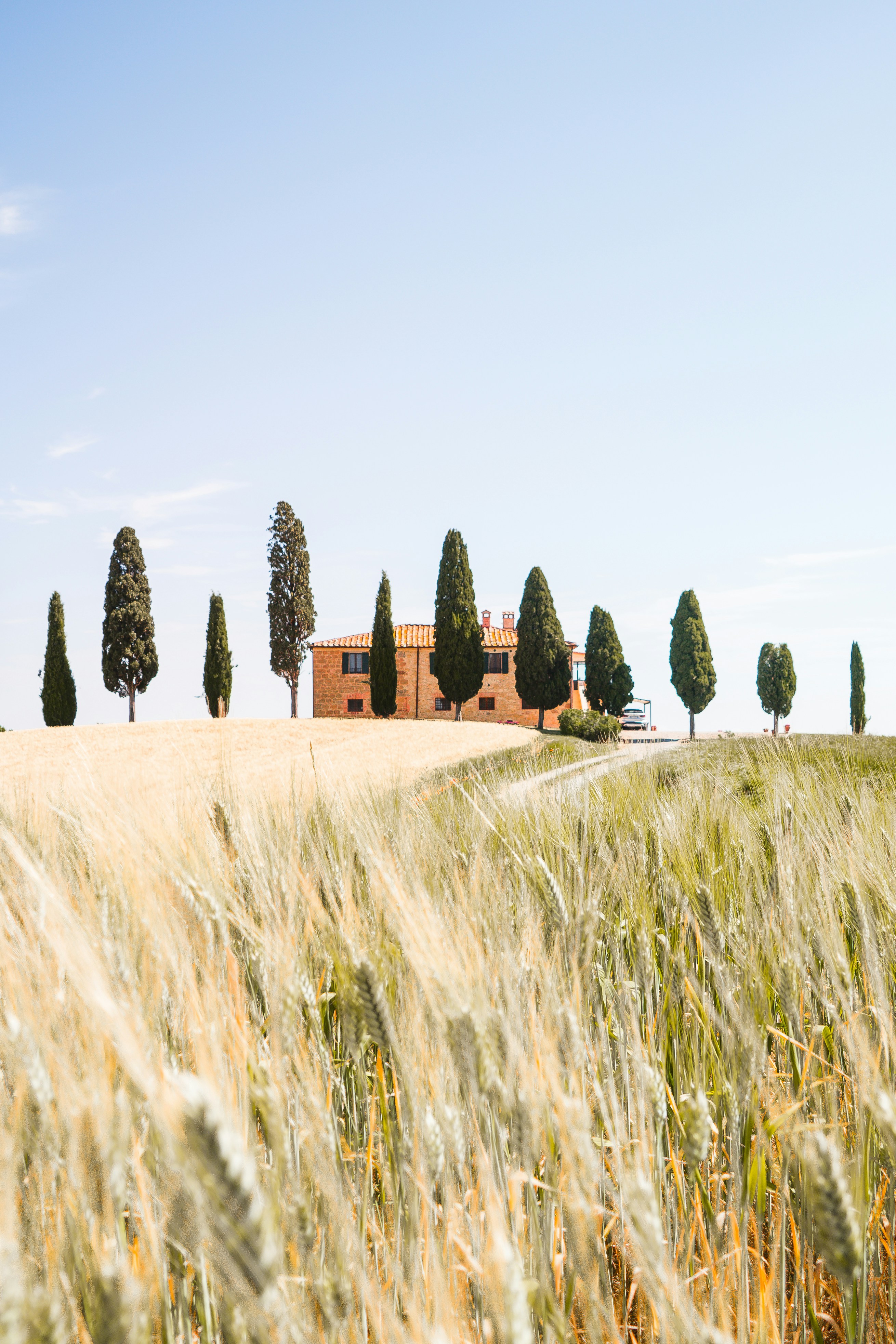 Casolare toscano con cipressi — costruzione ville