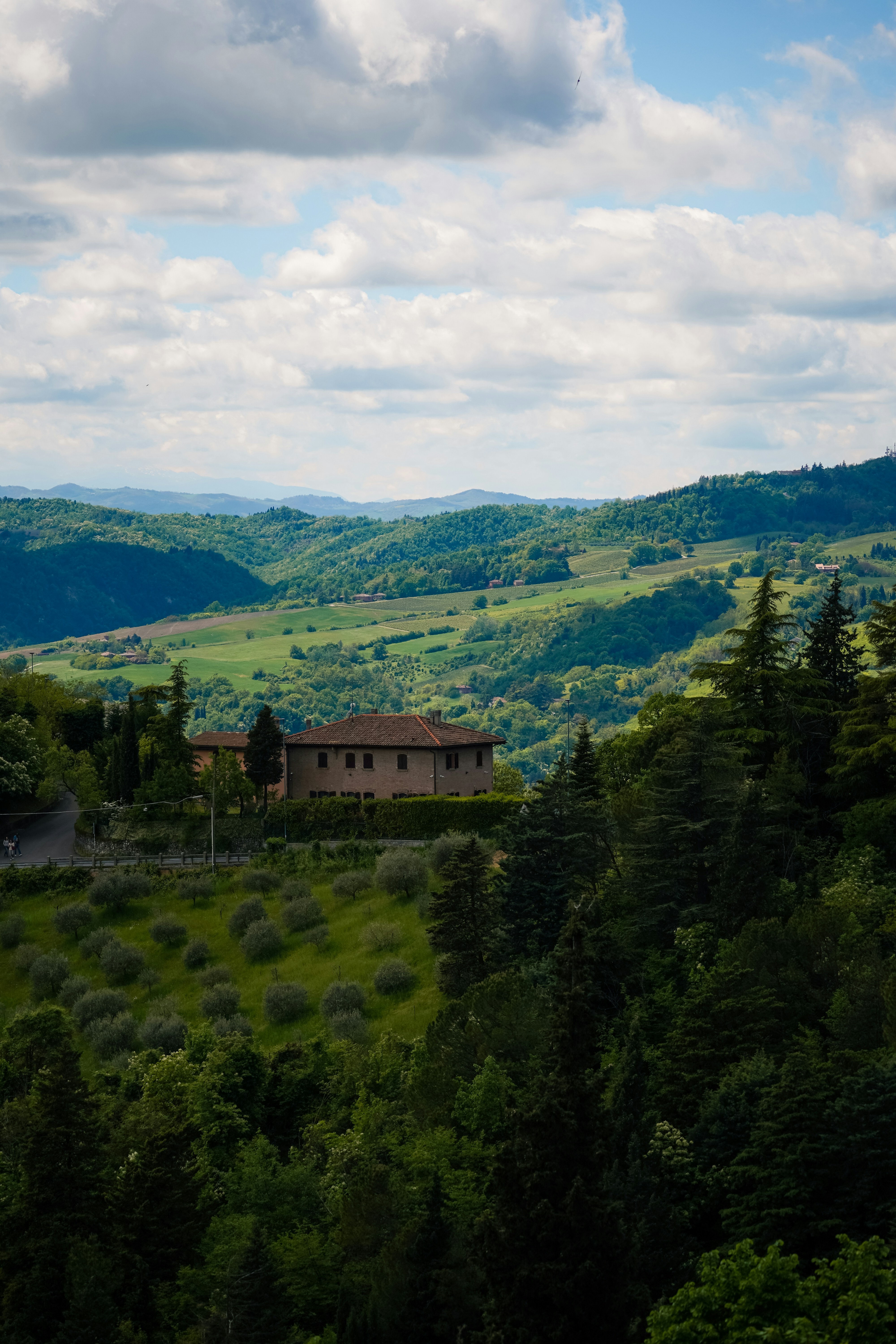 Gru edile verso il cielo