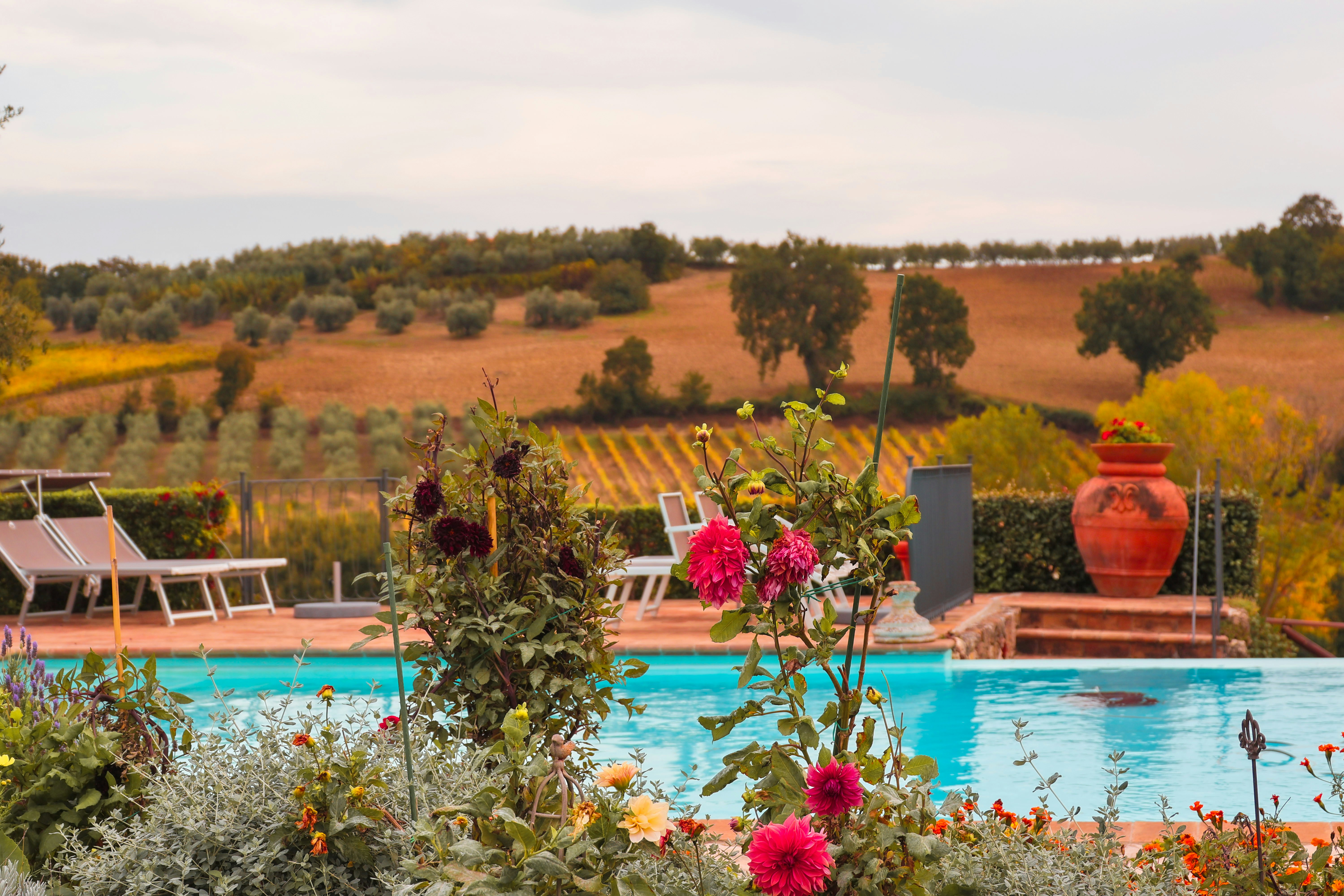 Piscina a sfioro con fiori e campagna toscana